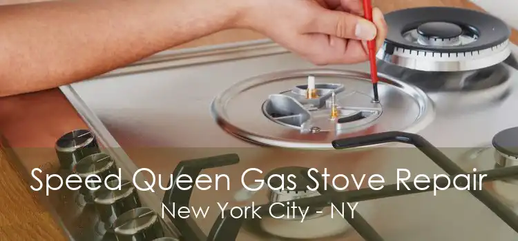 Speed Queen Gas Stove Repair New York City - NY