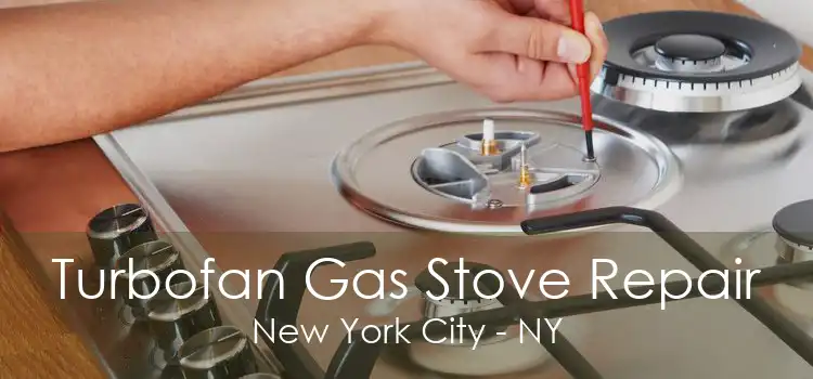 Turbofan Gas Stove Repair New York City - NY