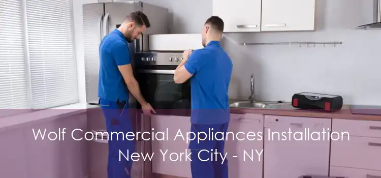 Wolf Commercial Appliances Installation New York City - NY