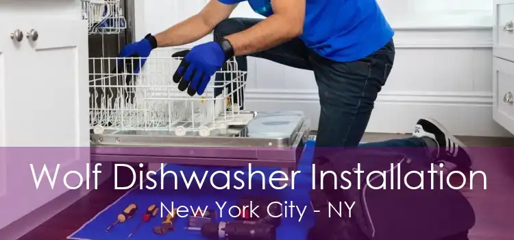 Wolf Dishwasher Installation New York City - NY