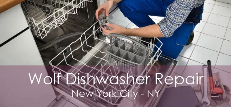 Wolf Dishwasher Repair New York City - NY