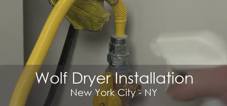 Wolf Dryer Installation New York City - NY