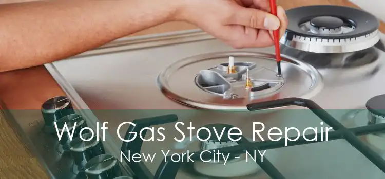 Wolf Gas Stove Repair New York City - NY