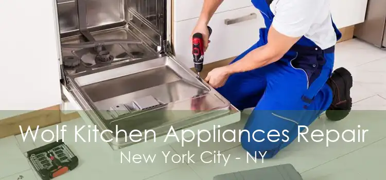 Wolf Kitchen Appliances Repair New York City - NY