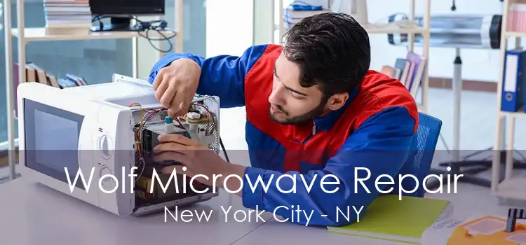 Wolf Microwave Repair New York City - NY