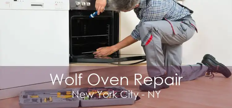 Wolf Oven Repair New York City - NY