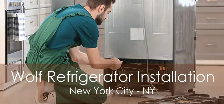 Wolf Refrigerator Installation New York City - NY