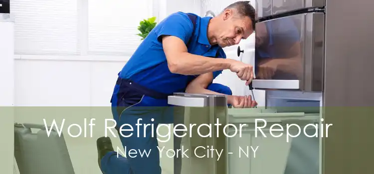 Wolf Refrigerator Repair New York City - NY