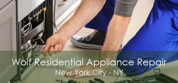 Wolf Residential Appliance Repair New York City - NY