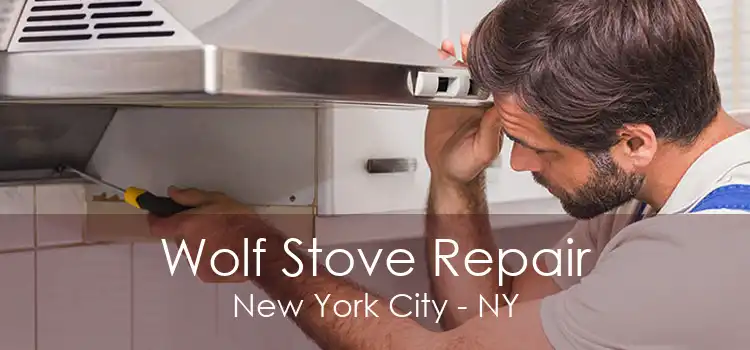 Wolf Stove Repair New York City - NY